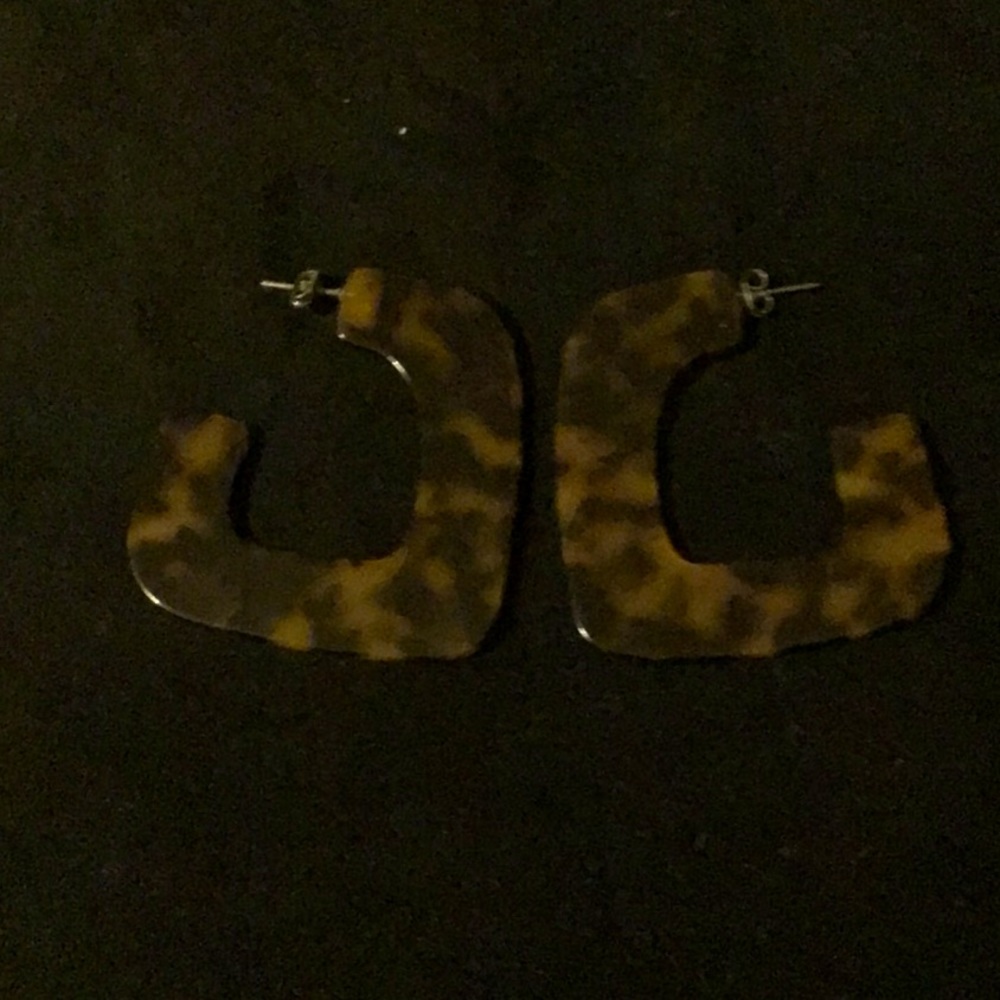 Tortoise Earrings